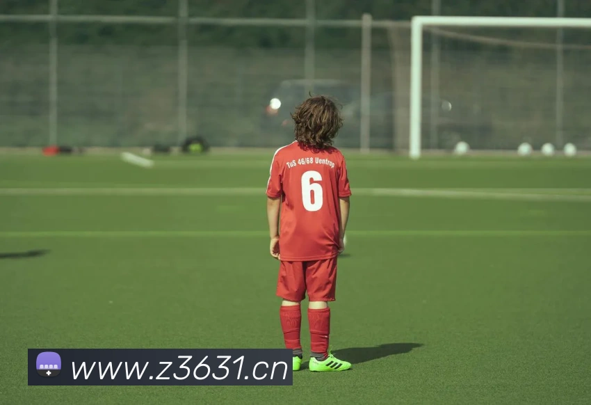 爱游戏官网APP 封面图